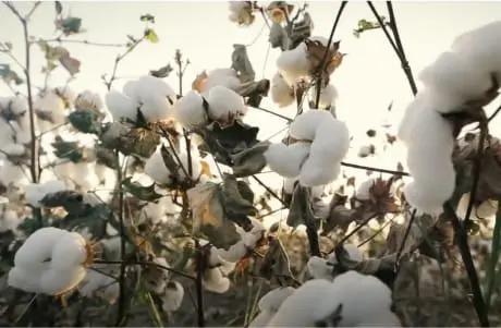 はじめての肌着篇サムネイル画像